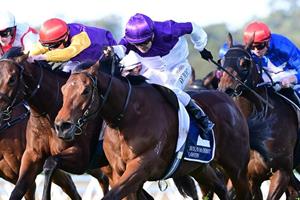 MISS ARIA DENIED WINX GLORY